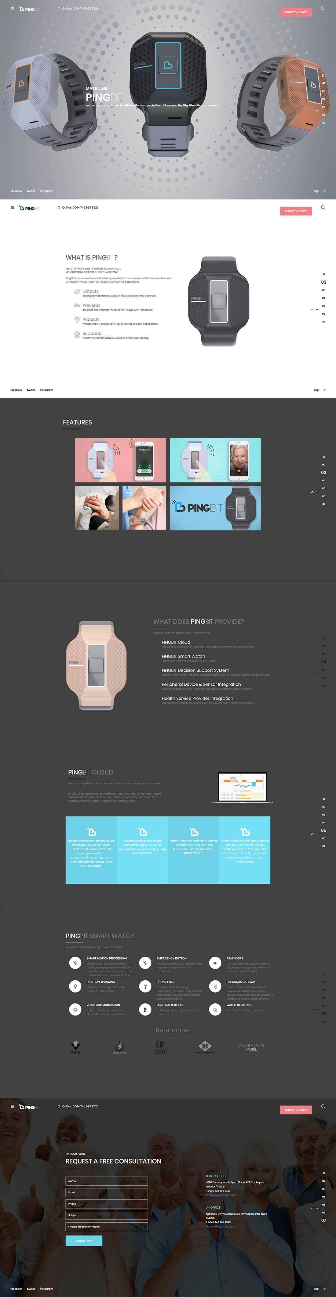 Pingbit web sitesi tasarımı